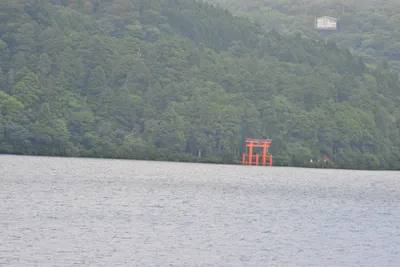 DSC_3759 (Large).JPG